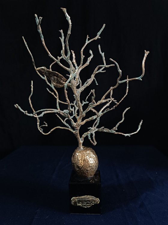 Apricot