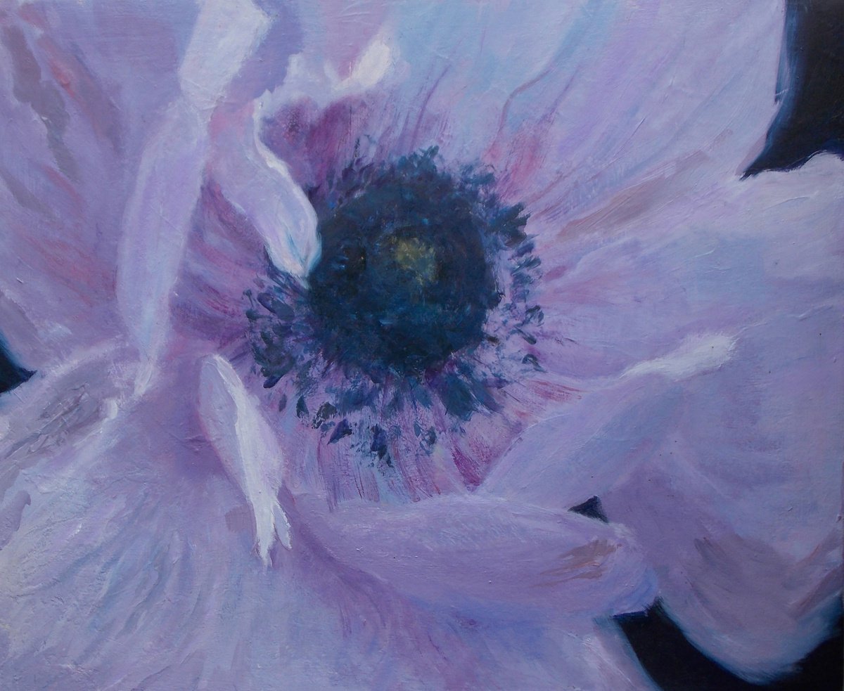 Lilac by TRACEY ROWAN