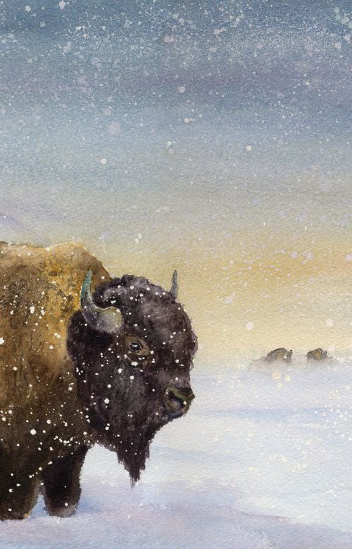 The Sentry - Bison by Jason Edward Doucette