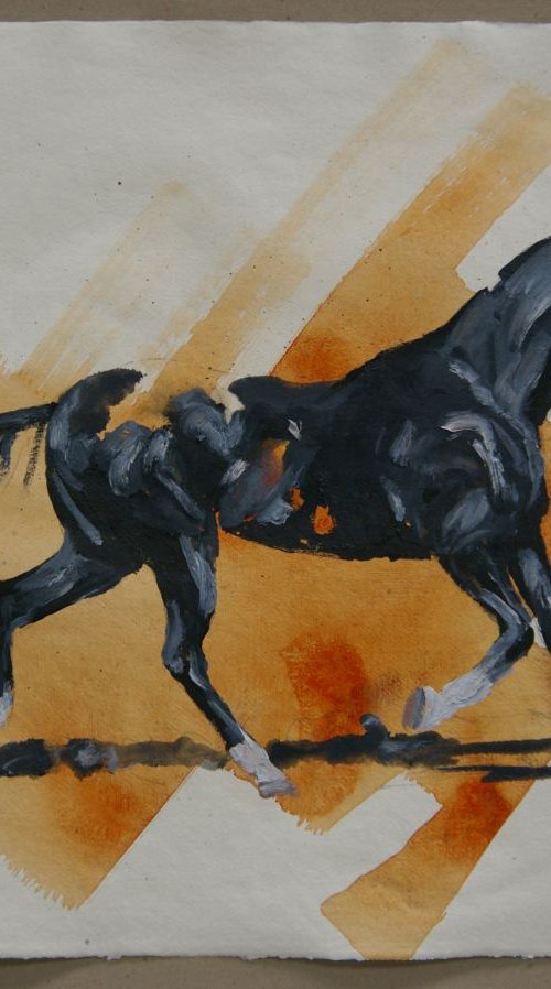 Arabian IV (study) by Zil Hoque