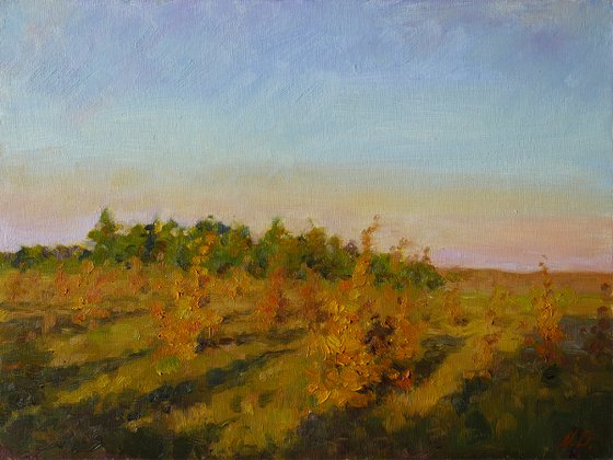 The autumn sunset - sunset landscape painting