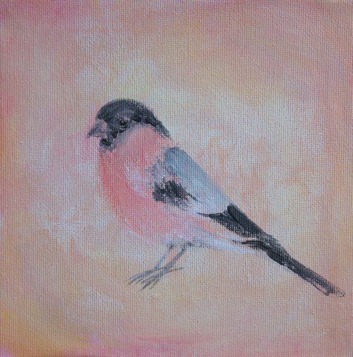 Bullfinch by Victoria Lucy Williams
