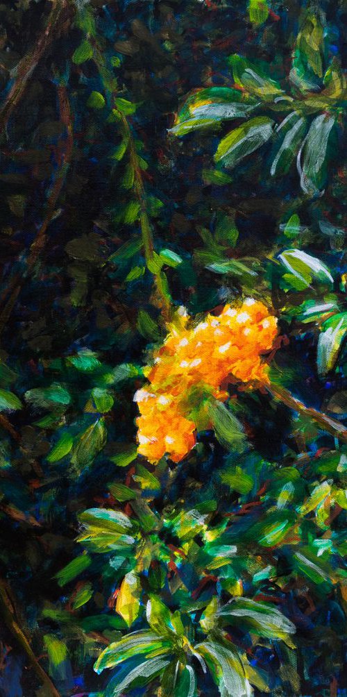 Pyracantha -  acrylic on canvas by Fabienne Monestier