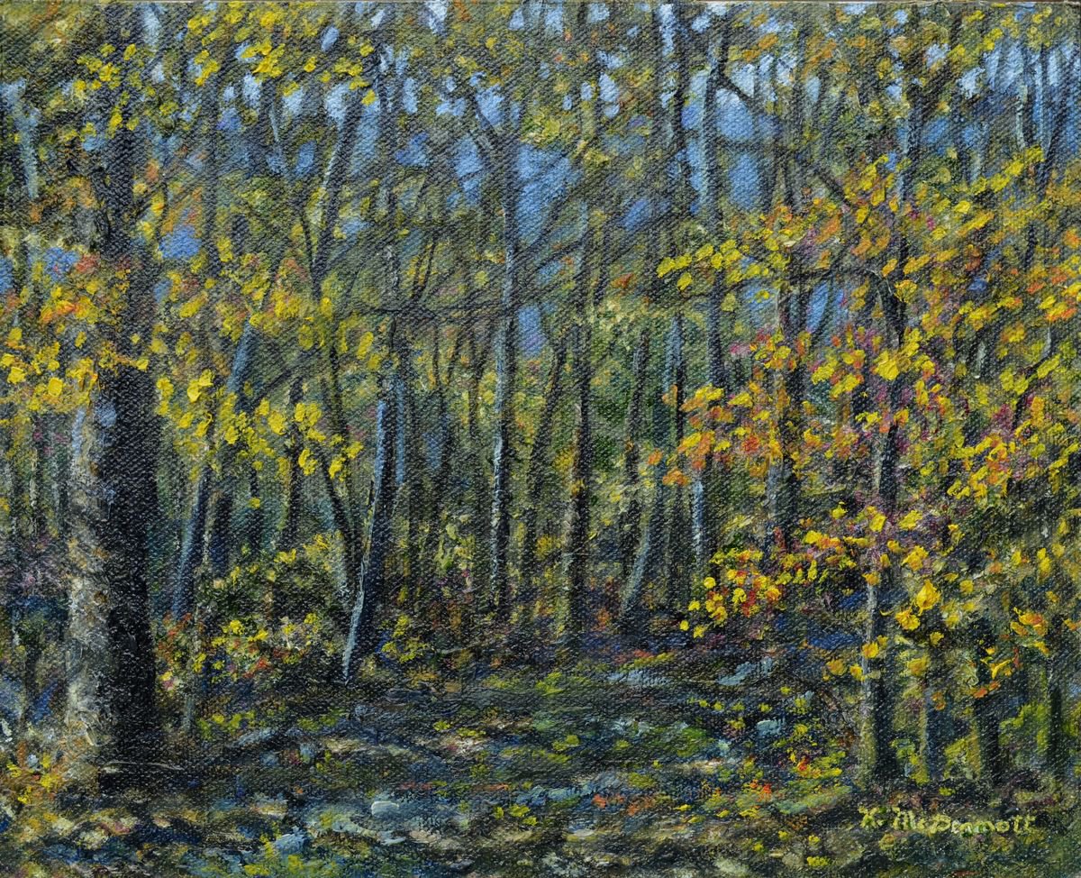 Impressionistic Landscape Oil Painting By Kathleen Mcdermott, 10 X 8", Forest Light, Original Artwork