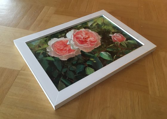 Rose Garden #07 (framed)