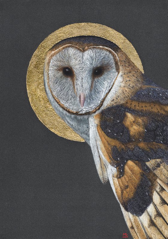 Original pastel drawing bird "Barn owl"