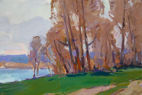 Spring air