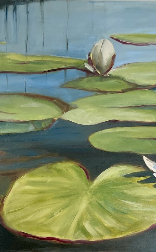 Water Lilies by Maria Romano
