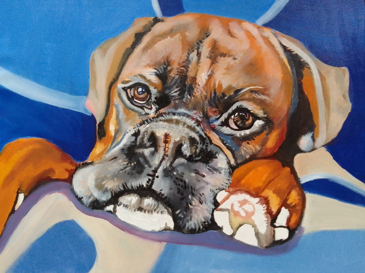 Boxer dog by Soso Kumsiashvili