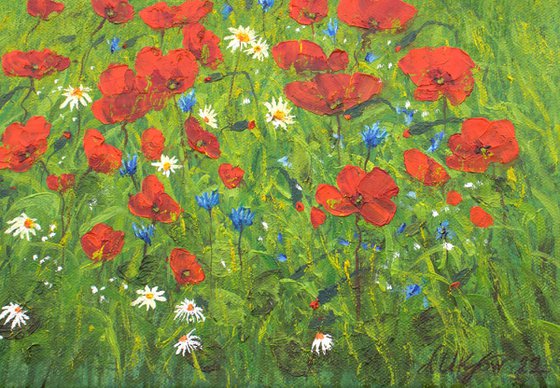 Wildflower meadow