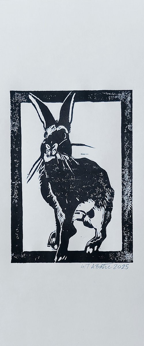 Rabbit 4/7 by Aleksandar Bašić