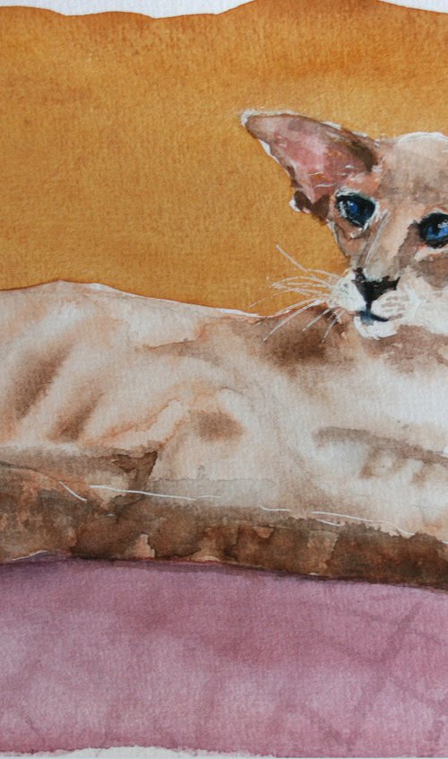 Siamese cat by Salana Art