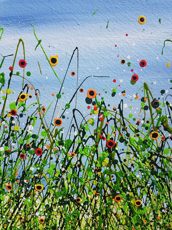 Poppy Meadows