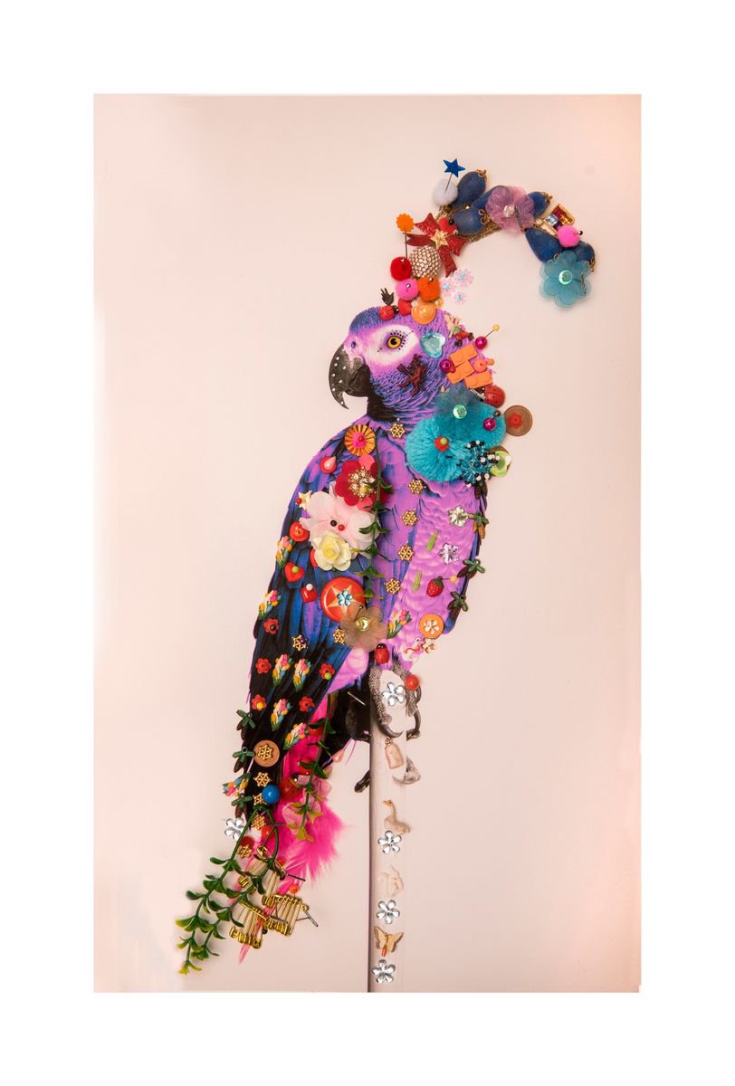 Urban And Pop Animal Photograph By B-Brown & Scheinmann, 22 X 32, P4, Original Artwork