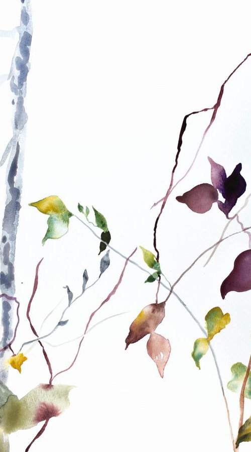 The Woods No. 40 by Elizabeth Becker