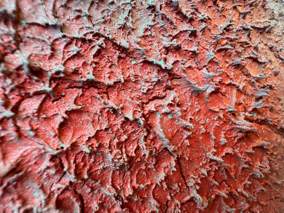 lichen 2