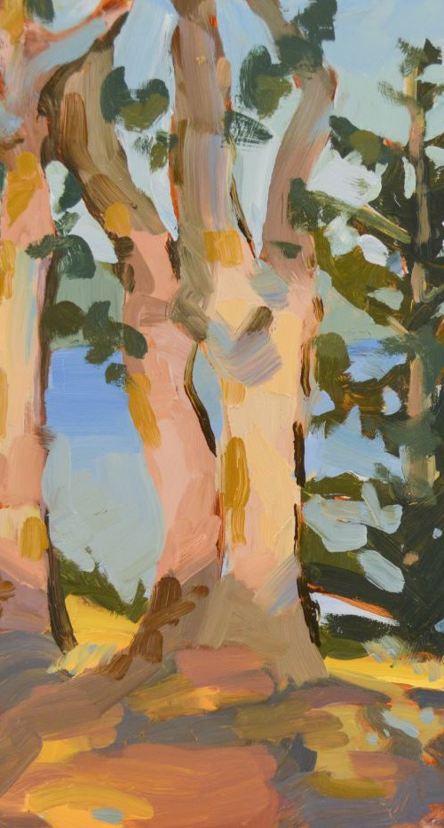 Crown of Oaks by Kristina Sellers