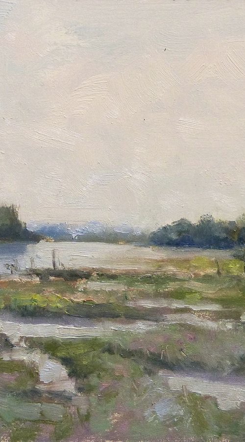 Paysage Camarguais by Pascal Giroud