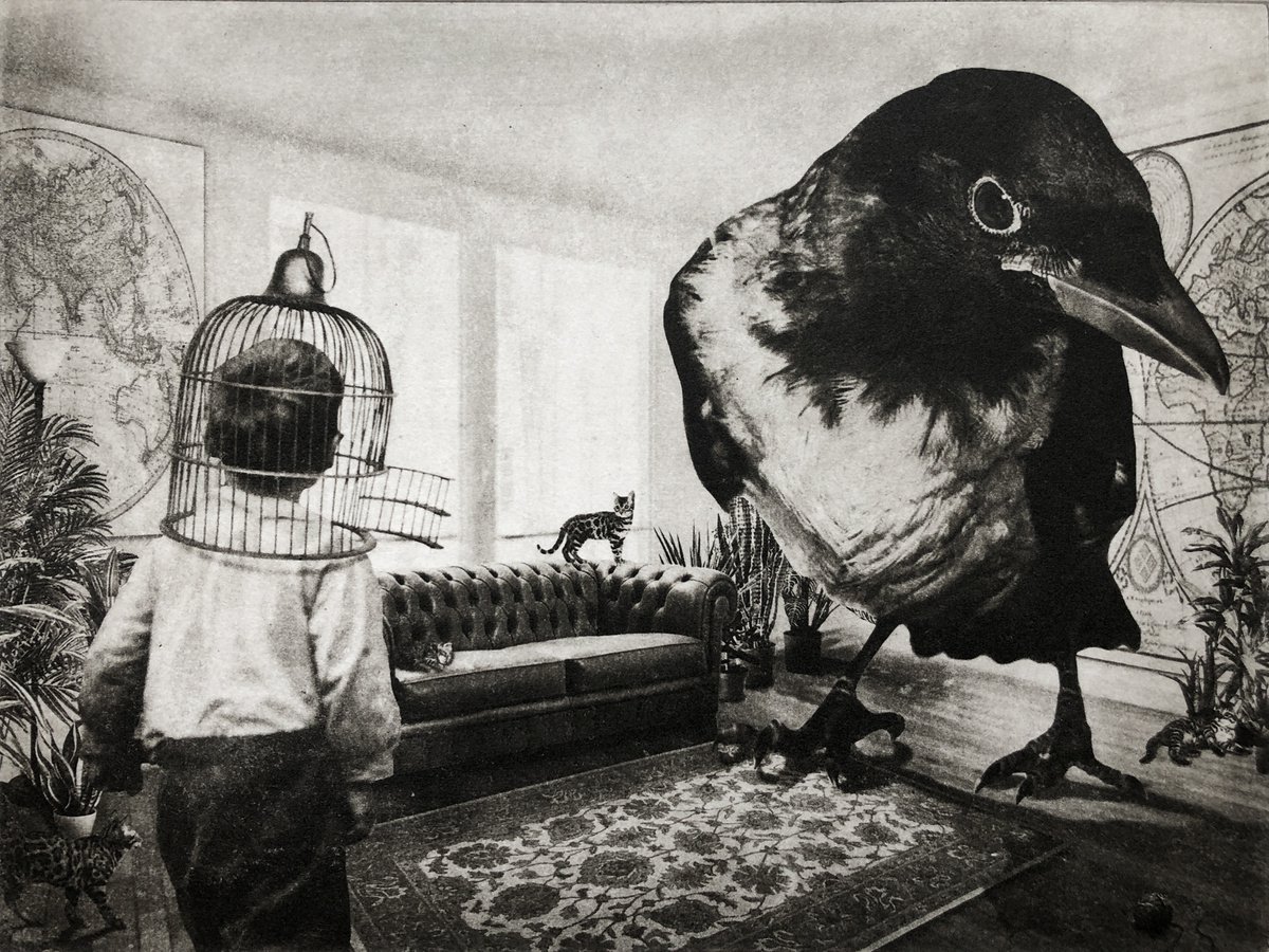 Surrealistic Animal Etchings & Engravings By Jaco Putker, 13 X 10, Interior No.130, Original Artwork