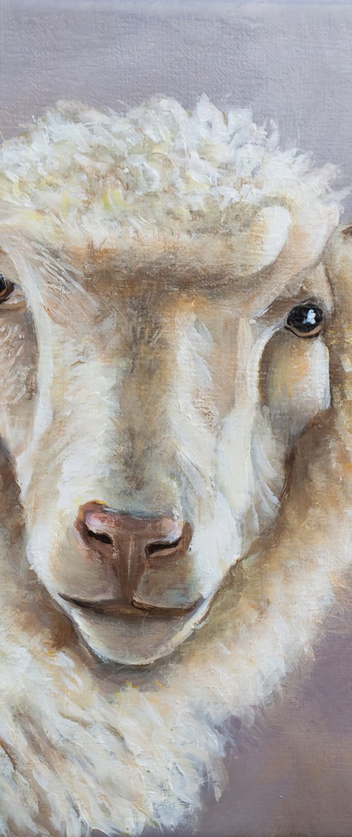 Sheep by Norma Beatriz Zaro