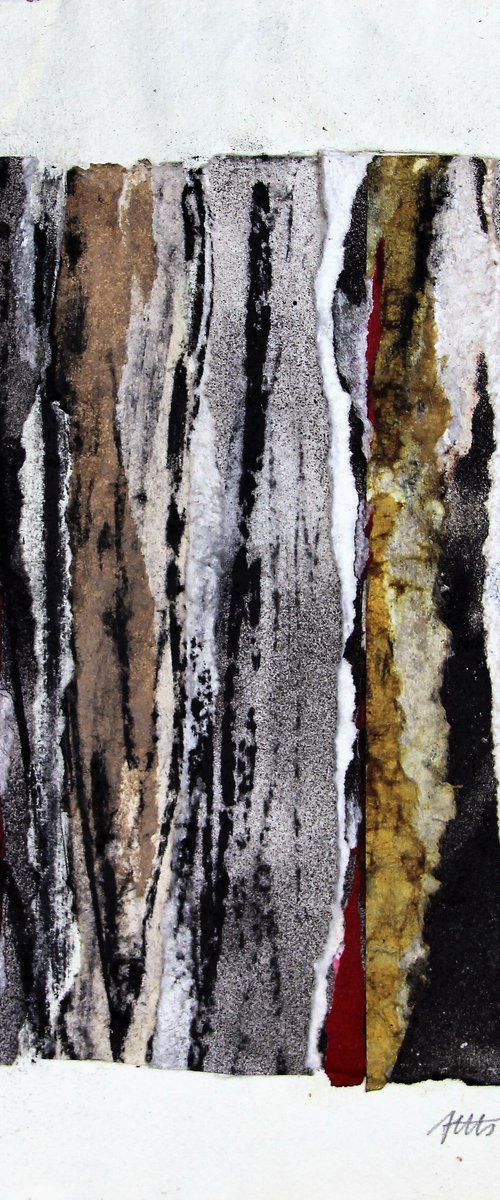 Bark by Assumpció Mateu