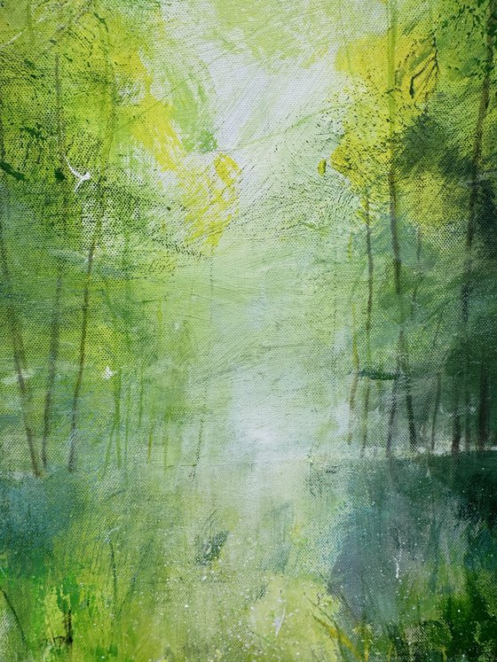 Misty Spring Woodland