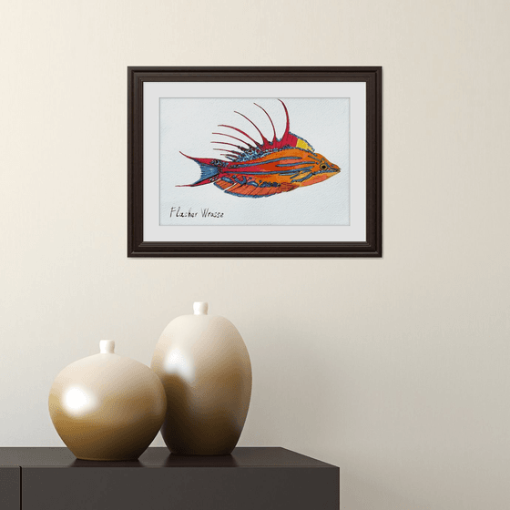 Exotic Colorful fish