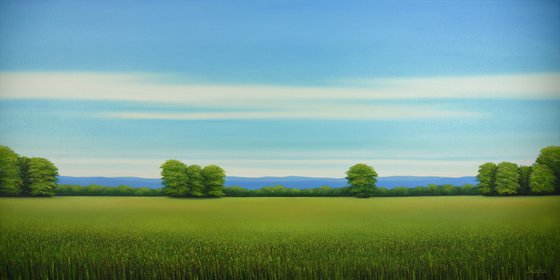 Summer Field - Blue Sky