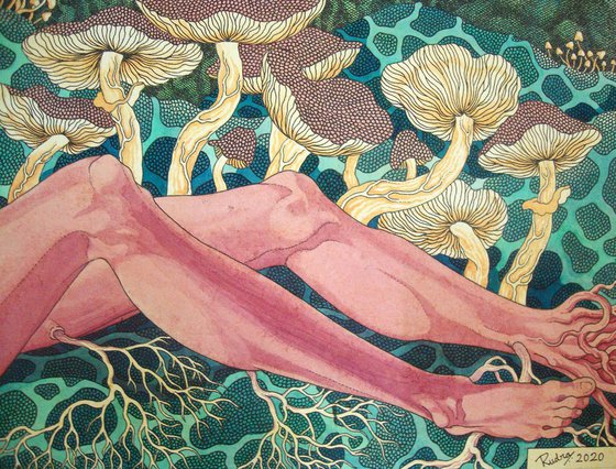 Mandragora