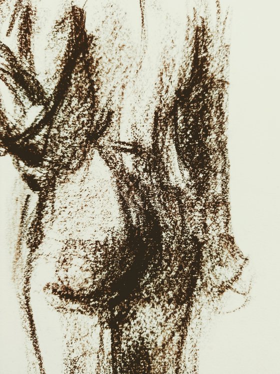 Nude. Abstract male figure. Drawing with a brown pencil on paper