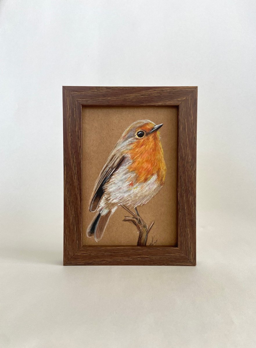 Bird drawing Robin bird mini art framed 11x15 cute mini art by Leysan Khasanova