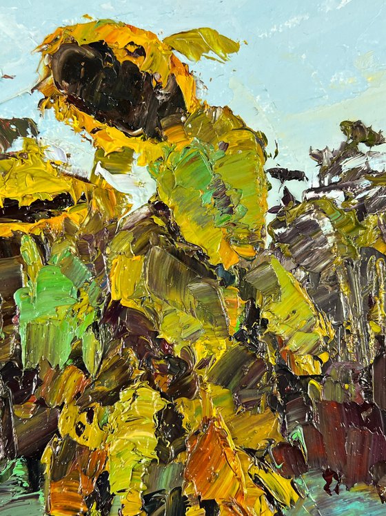 Sunflowers Bowed Down