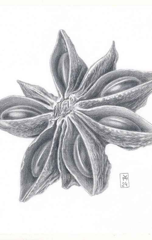 Star Anise Silverpoint by Yuliia Moiseieva