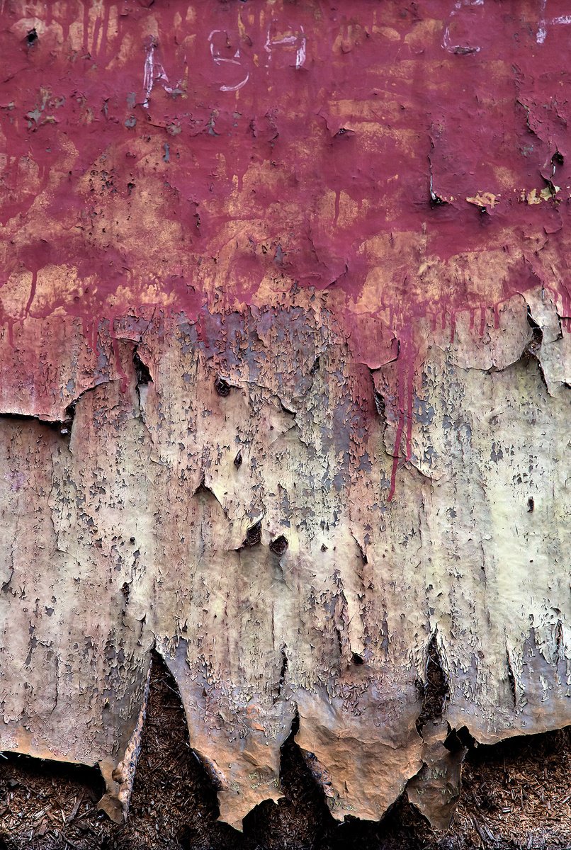 Abstract Photograph By Maciej Jabkowski, 16 X 24", Wall 8, Original Artwork