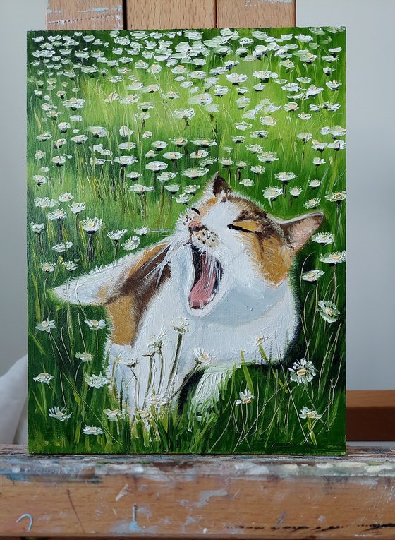 Cat in a flower meadow