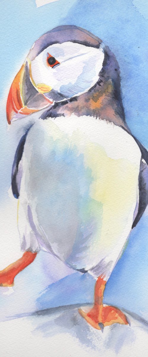 Puffin Tap Dance by Sarah Stowe