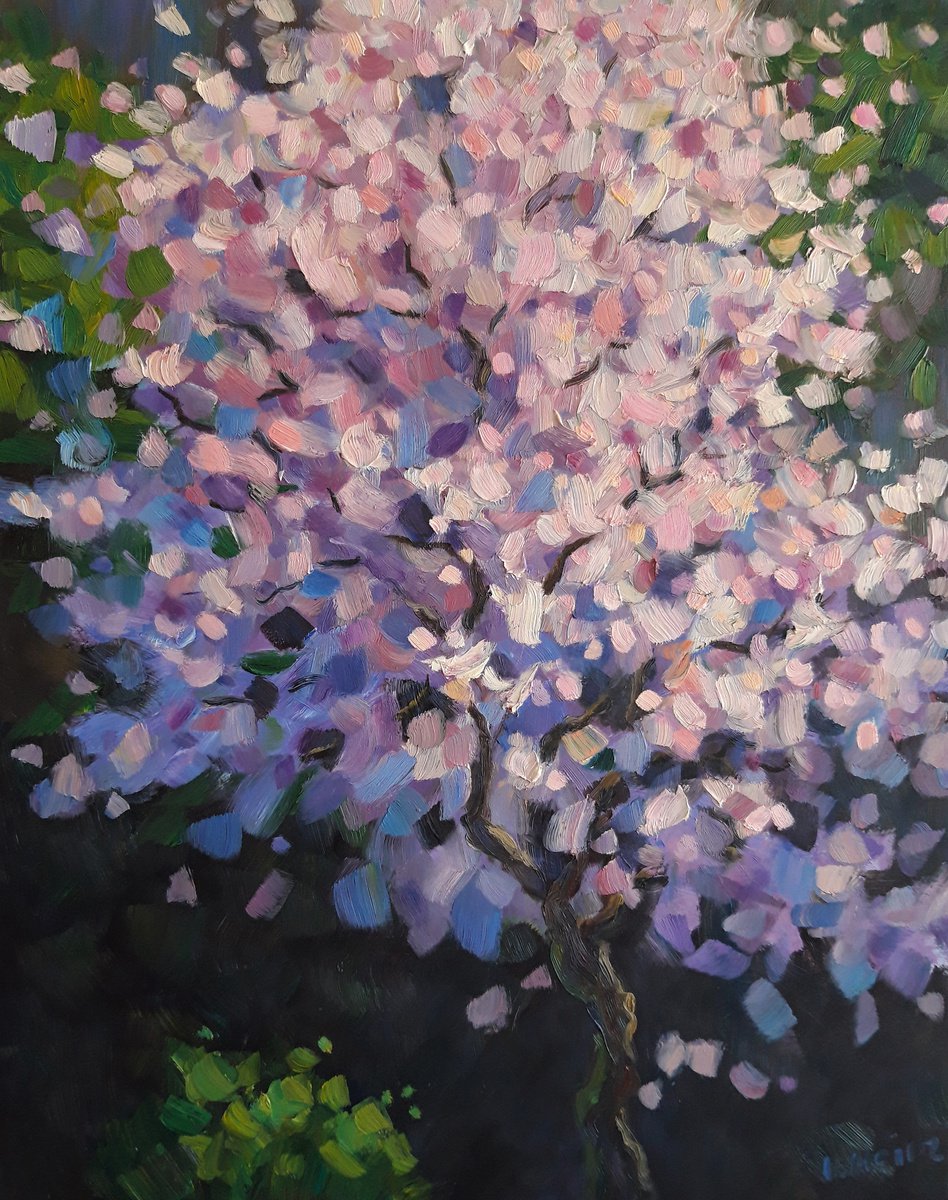 Cherry Blossom by Irena Heinz