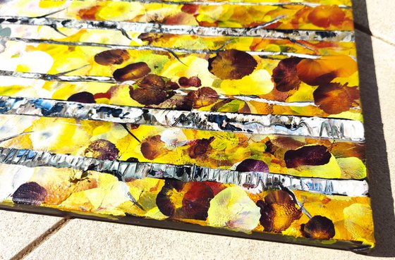 Golden Birch Garden