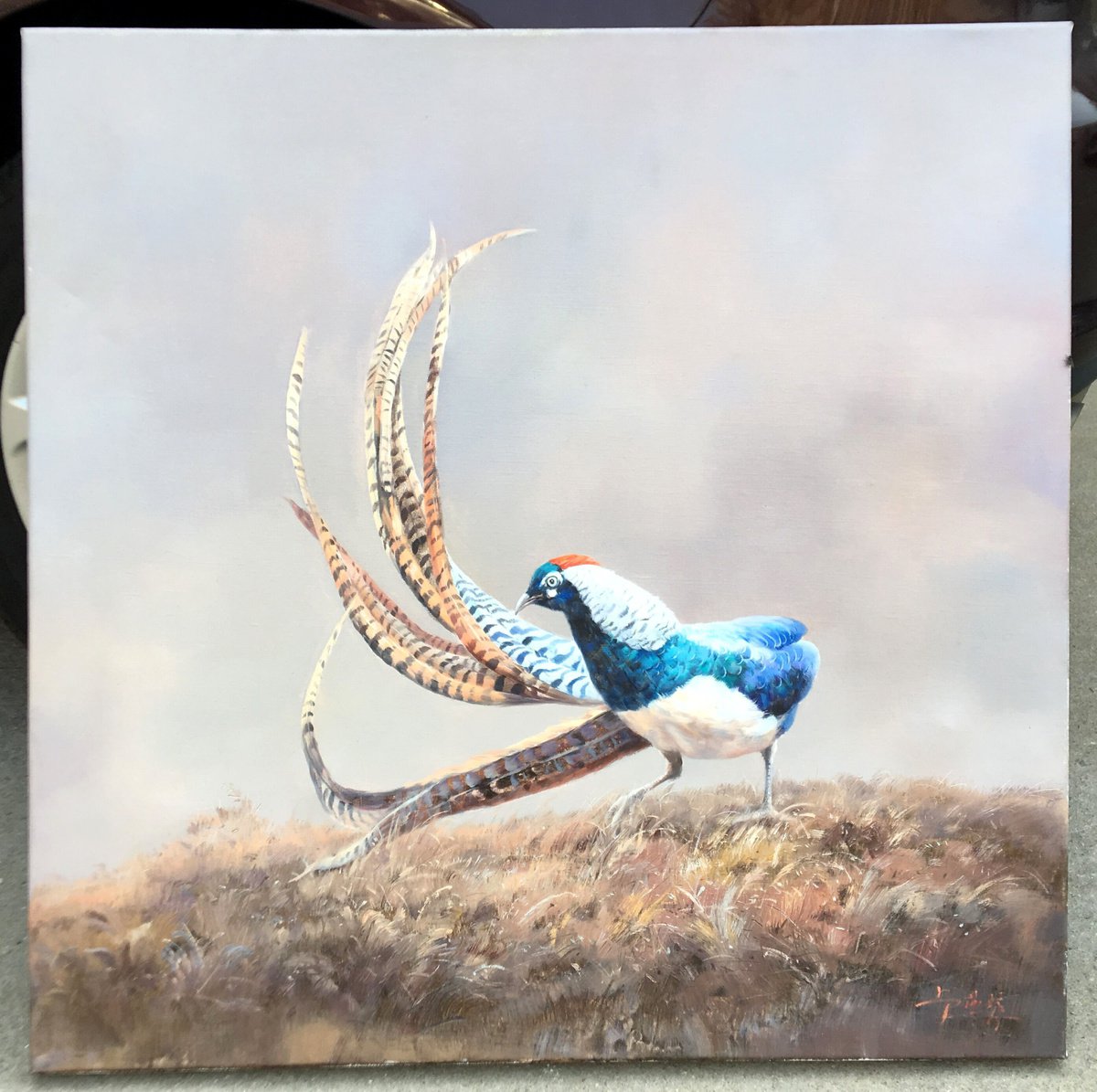Photorealistic Animal Oil Painting By Kunlong Wang, 24 X 24", Pheasant, Original Artwork