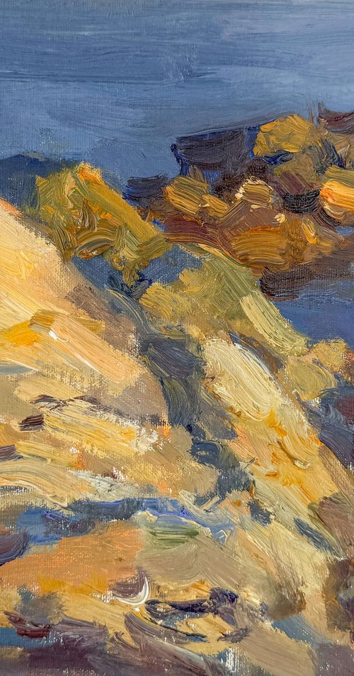 Rocks by the Sea by Nataliia Nosyk