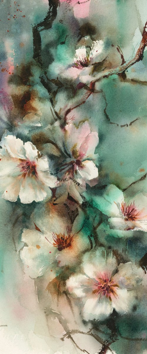 Almond Bloom by Sophie Rodionov