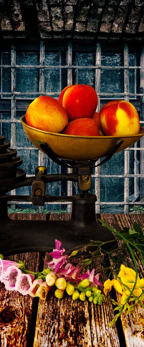 'Summer Apples' - Still Life Photography by Michael McHugh