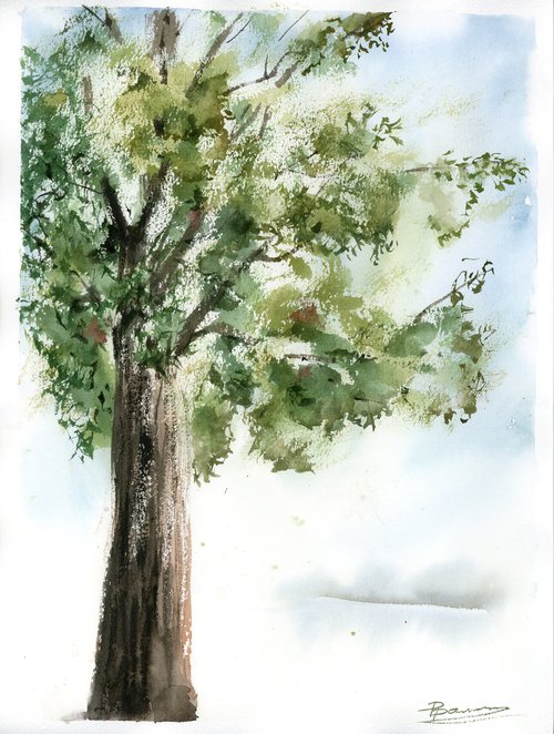 Tree 2 (1 of 2) by Olga Shefranov (Tchefranov)