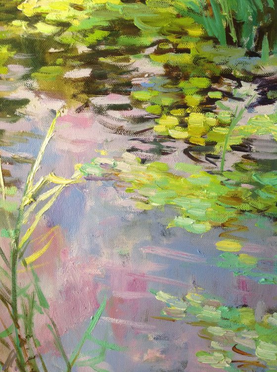 Summer evening / water lilies pond  light oil painting  river lily