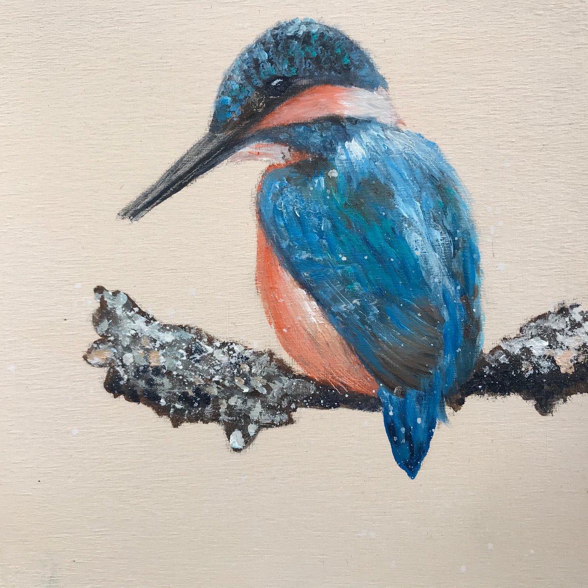 Kingfisher by Laure Bury