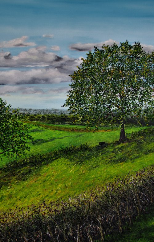 Cheshire Plains Landscape  100cm x 150cm by Hazel Thomson