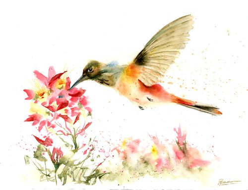 Hummingbird by Olga Shefranov (Tchefranov)
