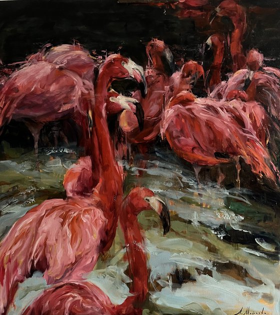 RED FLAMINGOS