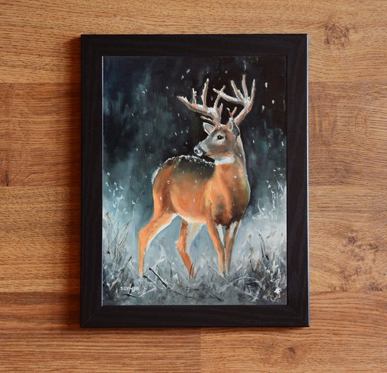 Male buck deer in snowy scene