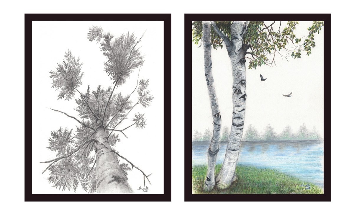 Photorealistic Drawing , Collection Of Trees Ii By Shweta Mahajan, 6 X 8, Artwork For Sale On Artfinder